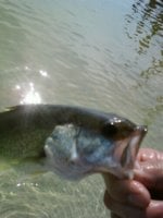 5-14-11.jpg