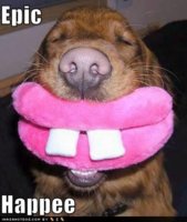 funny-dog-pictures-dog-is-very-happy1.jpg