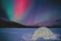 northern-lights-igloo_221.jpg