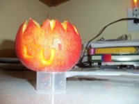 Peach tea lit up contest.jpg