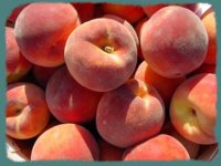 peaches-basket.jpg