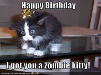 happy birthday zombie kitty.jpg