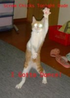 funny-pictures-of-cats-dot-info-134 (286x400).jpg