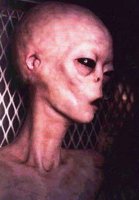 alien_pic.jpg