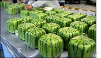 image-1375348559.png