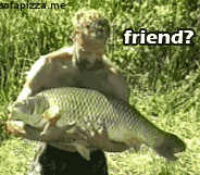 tumblr_lll37sYGY51qahhxwo1_250.gif