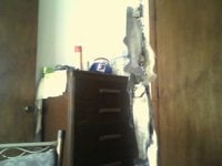 trout002.jpg
