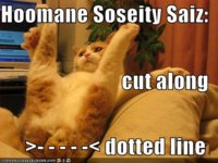 funny-pictures-orange-cat-dotted-line-neuter.jpg