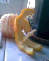 funny-picture-42893.jpg