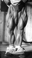 tom-platz-big.jpg