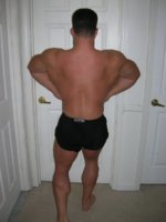 Rearlat17.JPG