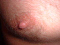 nips 001.jpg