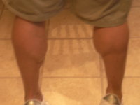 calves post sd.JPG