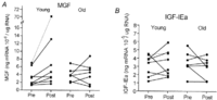 figure1.gif