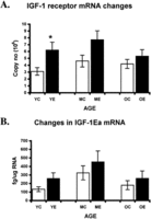 figure2.gif