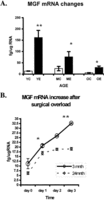figure3.gif