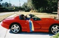 viper viper.JPG