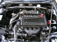 Picture 253.jpg