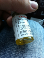 image-691838222.png