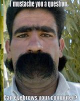 stache.JPG