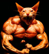 image-3165140924.png