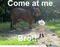 come-at-me-bro_c_156578.jpg