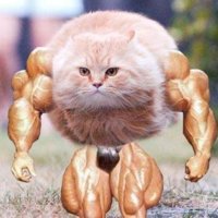 ForumRunner_20120329_165831.jpg