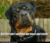 haha_girls_make_so_many_more_dumb_poses_like_how__d89be1b5d70008291fd688b4776de323.jpg