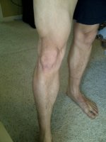 IMG-20120416-00014.jpg