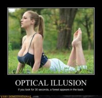 demotivational-posters-optical-illusion.jpg