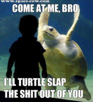 Come_at_me%2C_bro_funny_animals_picture.jpg
