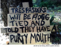 image-677196277.png