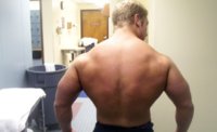 dan'sback (698 x 424).jpg