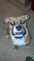 ForumRunner_20121014_153032.png