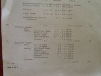 image-242317486.jpg