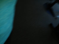 image-3622237484.jpg