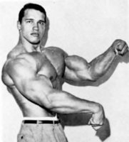 1789d1282047860-jim-cordovas-intermediate-fitness-principles-11865young_arnold_schwarzenegger.jpg