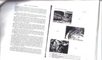 lastscan2.jpg