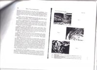 lastscan4.jpg