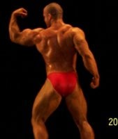 back.jpg