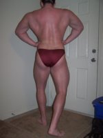 rearlatspread.jpg