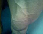 leg 2.jpg
