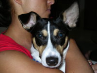 PICT0022.JPG