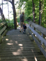 image-3483470396.jpg