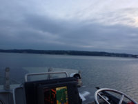 image-3594445657.jpg