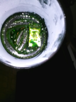 ForumRunner_20130714_061255.png