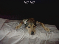 ForumRunner_20130716_123359.png