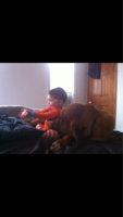 image-3138765224.jpg