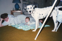 image-525487021.jpg
