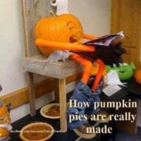 IMG_228229224020637.jpeg